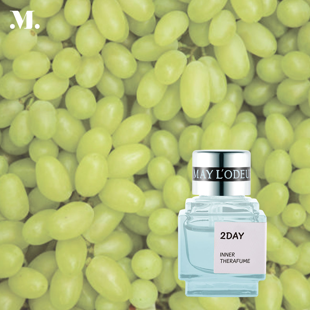 < Season2 >   2DAY  7ml