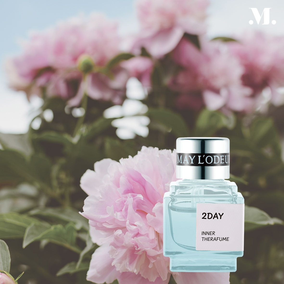 < Season2 >   2DAY  7ml